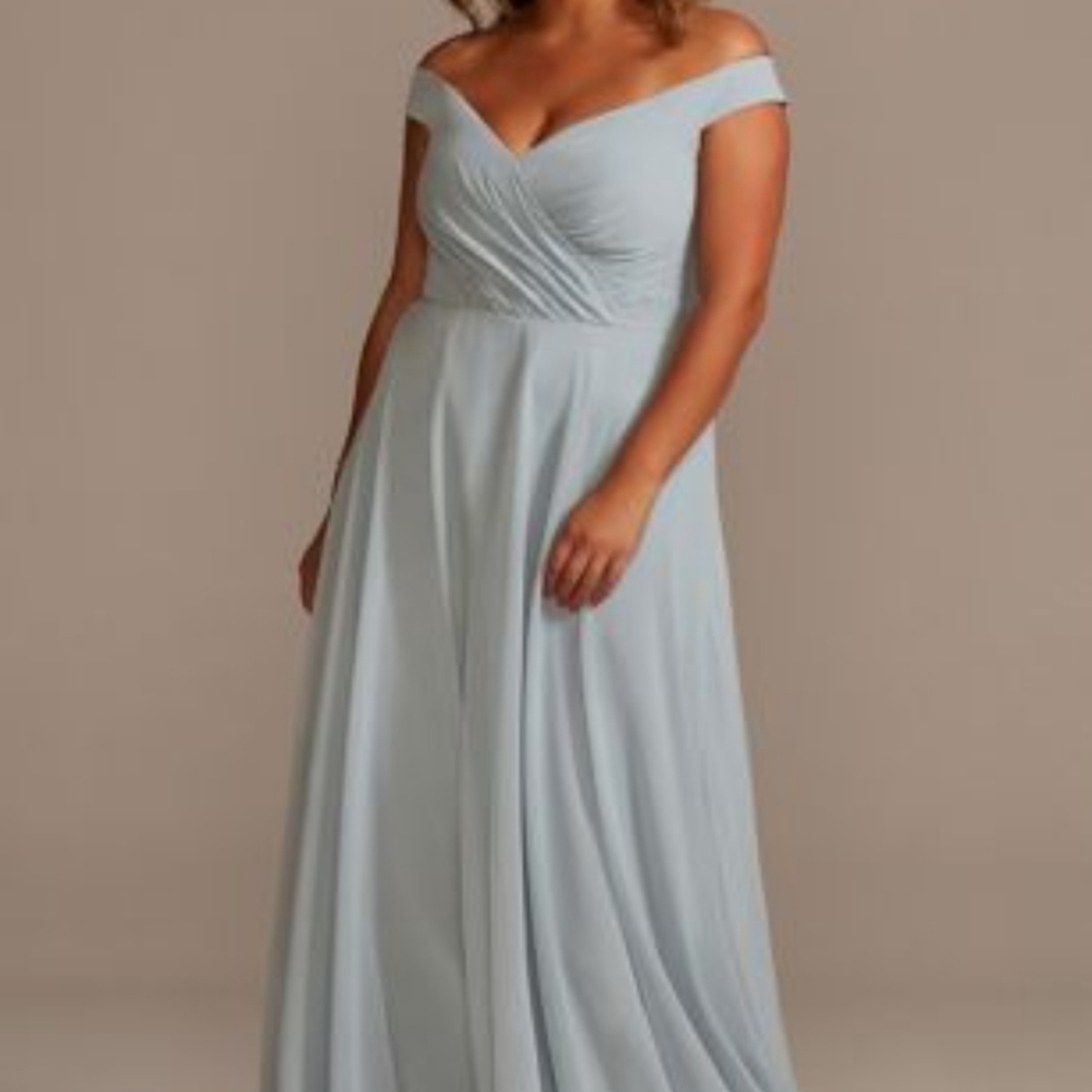 New David's Bridal Formal or Bridesmaid Gown with Face Mask